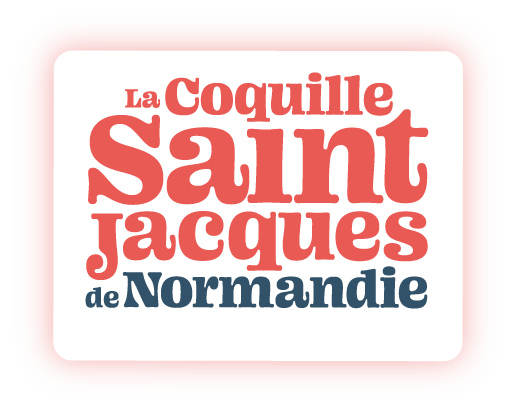 Coquille Saint-Jacques de Normandie