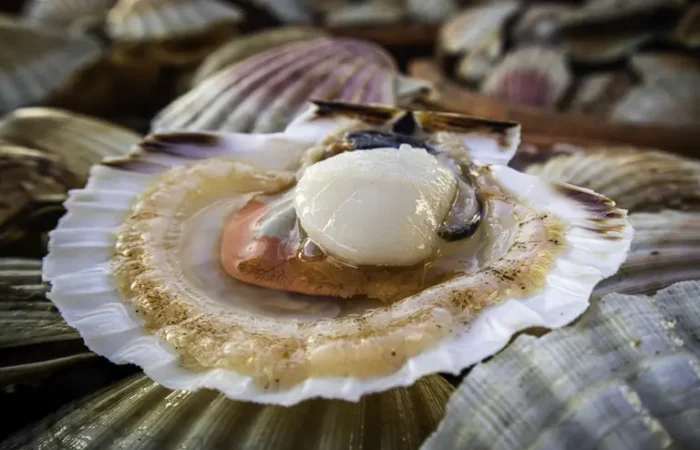 2 Les label rouge NFM CSJ @JPF compressed