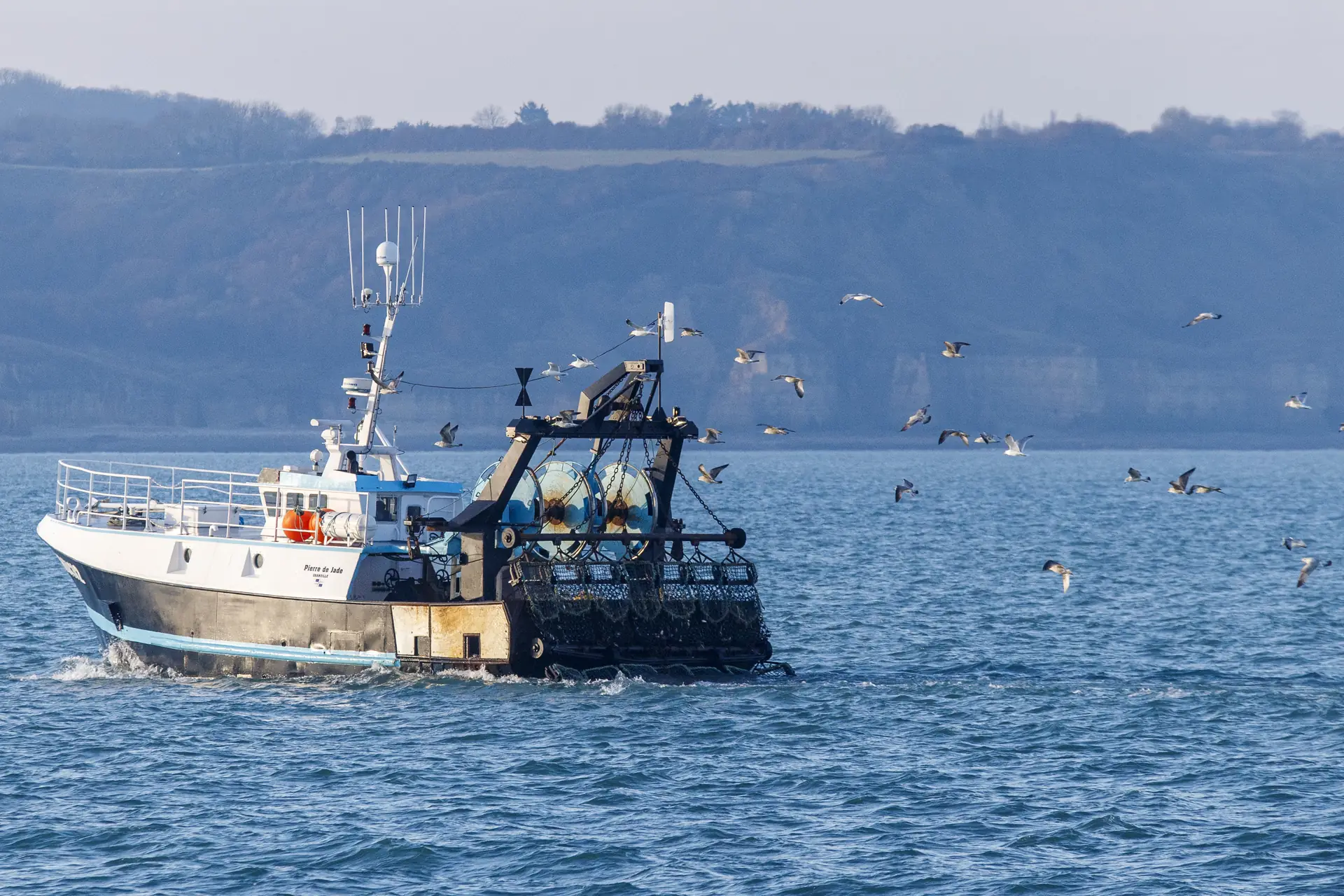 Coquilles NFM JPF 255