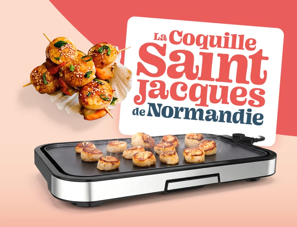 plancha JM copie