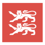 RN LOGO CARRE