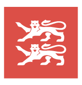 RN LOGO CARRE